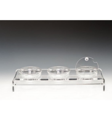 ZCP 288 CAM KASELİ POLYCARBONAT KAPAKLI TEŞHİR STANDI 57 X 19 CM / KASE (BOWL) Ø 14 CM